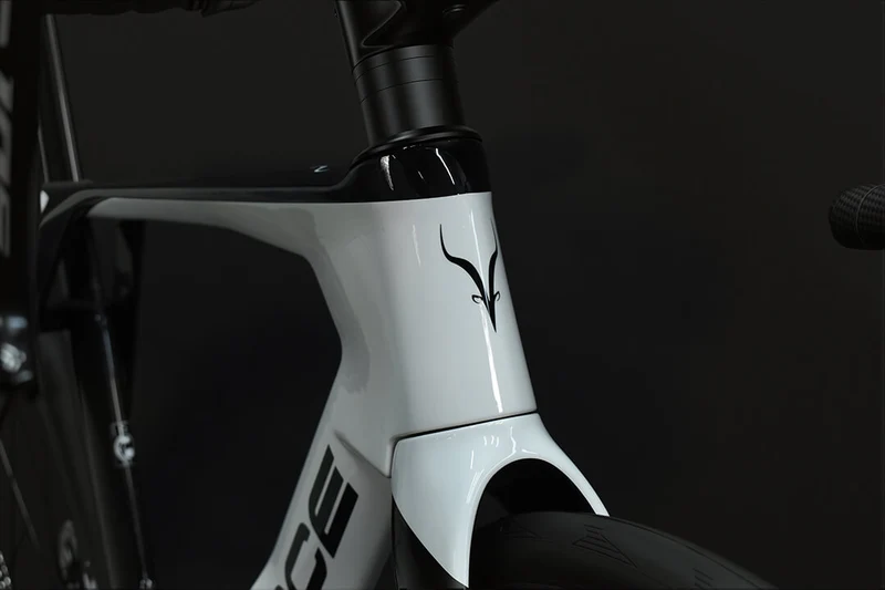 Carbon AERO Rennrad