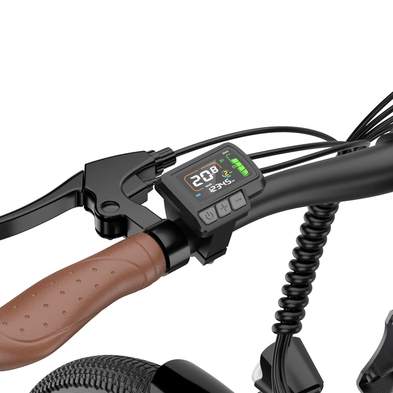 Display for E-bike