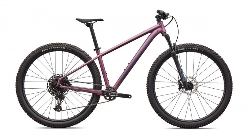 Specialized Rockhopper Expert Hardtail MTB 29 Zoll - Quartz Metallic/White Größe S - Mountainbike