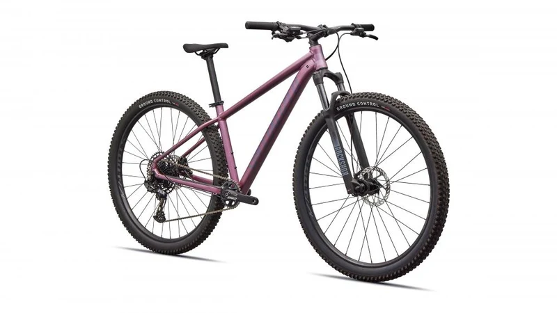 Specialized Rockhopper Expert Hardtail MTB 29 Zoll - Quartz Metallic/White Größe S - Mountainbike