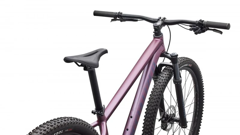 ROCKHOPPER EXPERT KH QTZMET/WHT XL - 29 Zoll Mountainbike