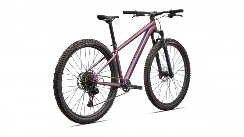 ROCKHOPPER EXPERT KH QTZMET/WHT L - 29 Zoll Mountainbike
