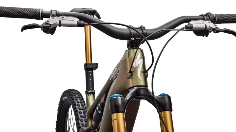 LEVO SW Carbon G4 NB E-Bike - Laurel Green Metallic/Burnt Gold Metallic/Chrome S2 - Unbekannt