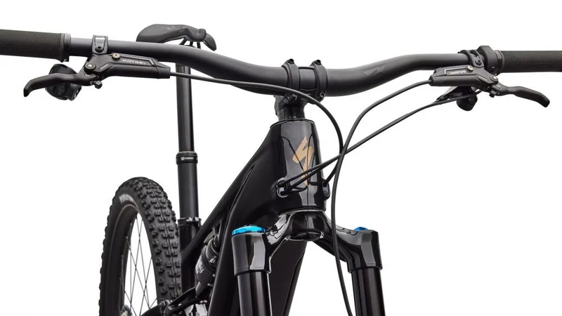 LEVO R EXPERT NB CARB/BNTGLDMET S2 - 29 - E-Mountain Bike