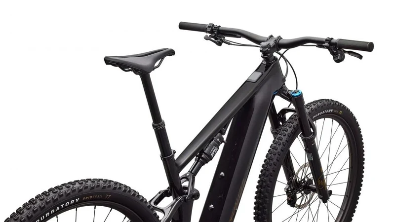LEVO R EXPERT NB CARB/BNTGLDMET S4 - 29 Zoll E-Mountainbike