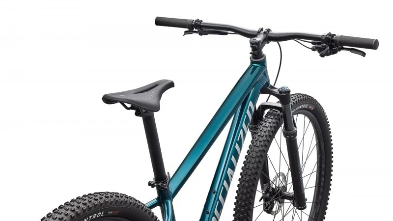Specialized Rockhopper Expert 29" XXL - Mountainbike in Emerald Met/Shadow Silver