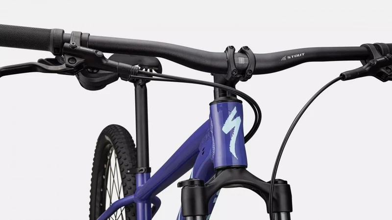 Specialized Rockhopper Comp Hardtail Mountainbike 29 Zoll - Purple Haze/Astral Blue XXL
