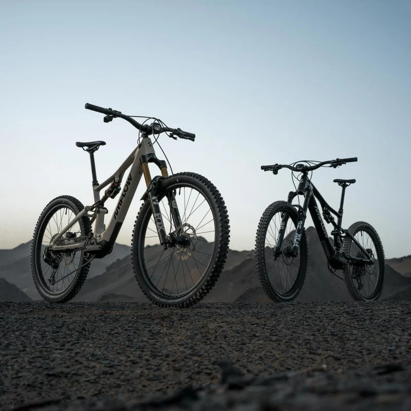 Amflow PX Carbon Pro E-MTB L - 700 Wh, Avinox M2S, Mondstein-Grau