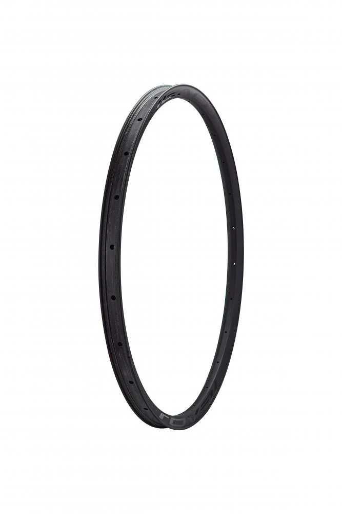 CONTROL SL VI Laufrad 29 Zoll Hinten - Carbon Felge 28H Disc 29mm Innenbreite - RIM MY26 CONTROL SL VI, 29, REAR, 28H, DISC, 29MM INTERNAL (WC033-3) - SATIN CARBON W/ BLACK DCL