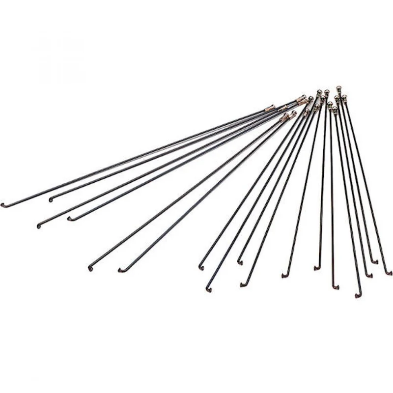 DT Swiss Speiche Champion 2.0 VE500 262 mm schwarz - robuste Allround-Fahrradspeiche