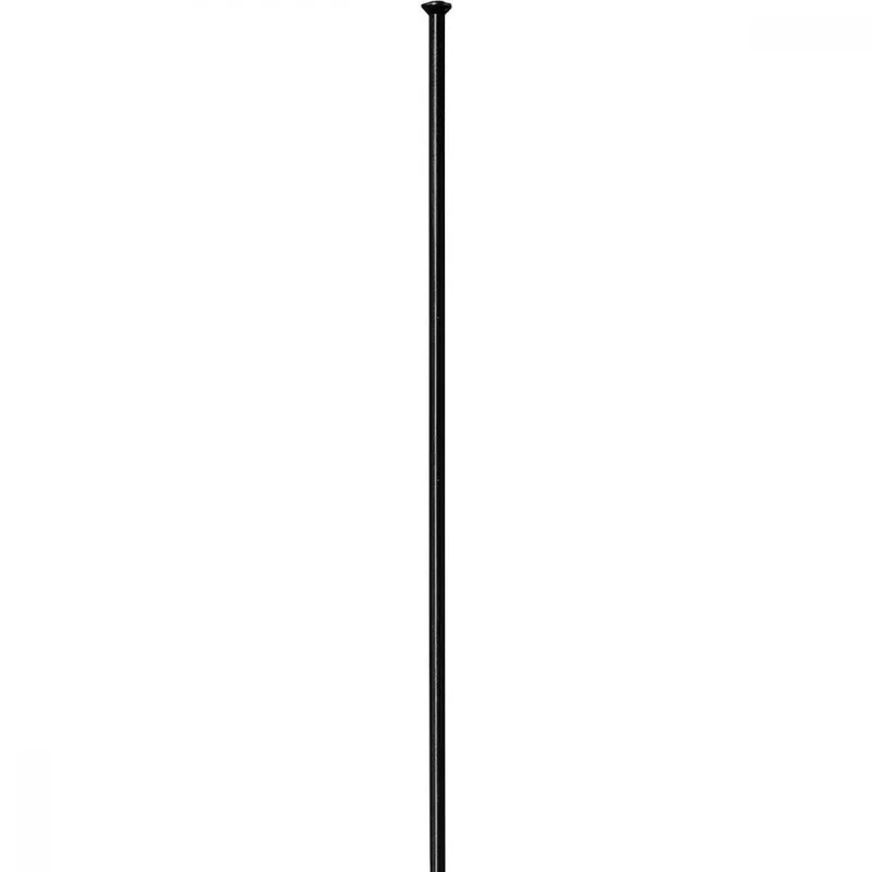 DT Swiss Speiche Competition 2.0 / 1.8 258 mm schwarz Straightpull - robuste Performance