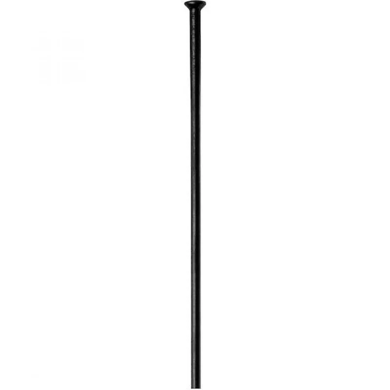 DT Swiss Speiche Champion 2.0 Straightpull VE100 300 mm schwarz - robuste Allround-Fahrradspeiche