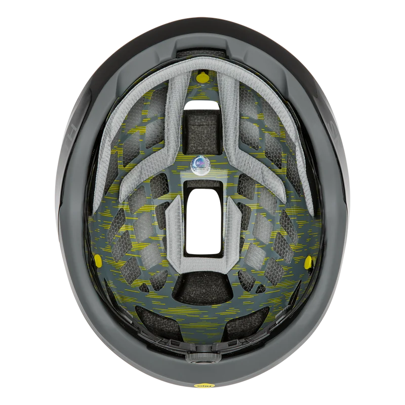 Trace Mips® - Past Season