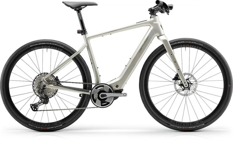 Centurion Speeddrive R2000 D EP1 vintage L / (53) Grau - sportliches Trekking-E-Bike für Alltag und Tour