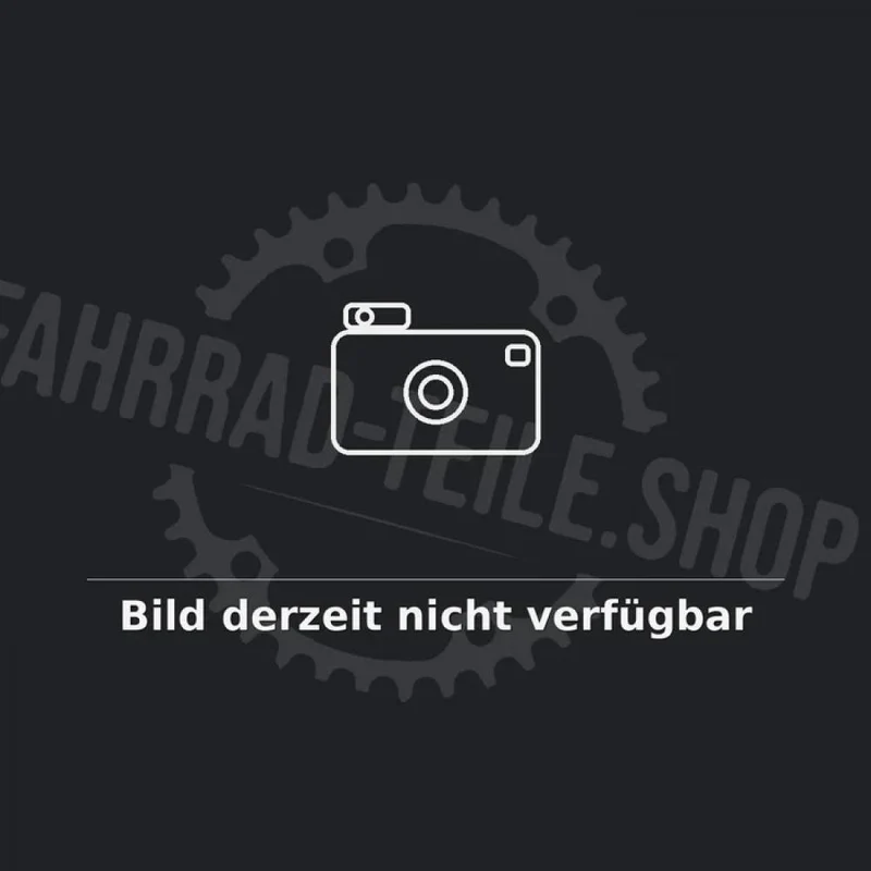 SAPIM SPK SAPIM - Speichen