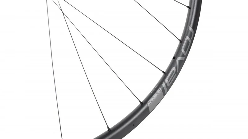 REAR WHL SLX DISC 350 - Hinterrad - 700C REAR ALLOY TA 12X142MM CENTERLOCK 24H SHIMANO 11-SPD ROAD FHB (DT 350 HUB) - BLACK W/ SILVER DCL